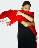 Sunrise Pashmina shawl