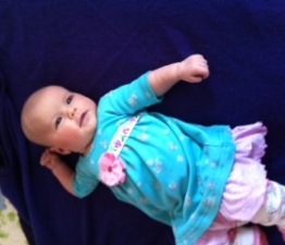 Camellia-Rose-pashmina-blanket-A