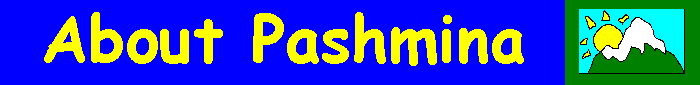 About Pashmina