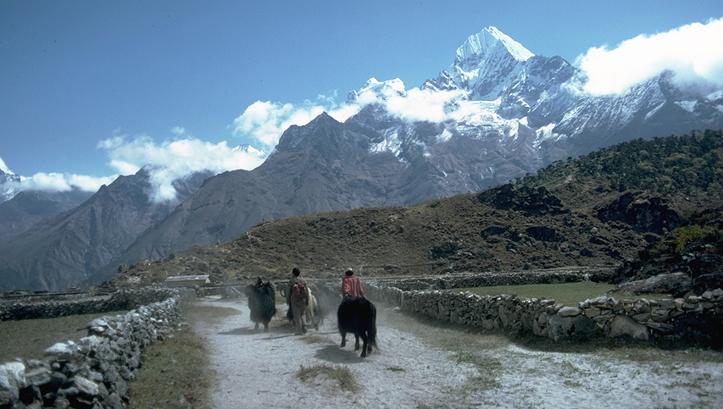 Yak drivers, passing through Khumjung