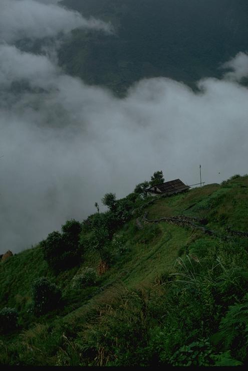 Hillside farm