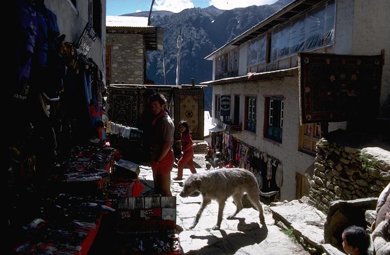 Namche at Namche