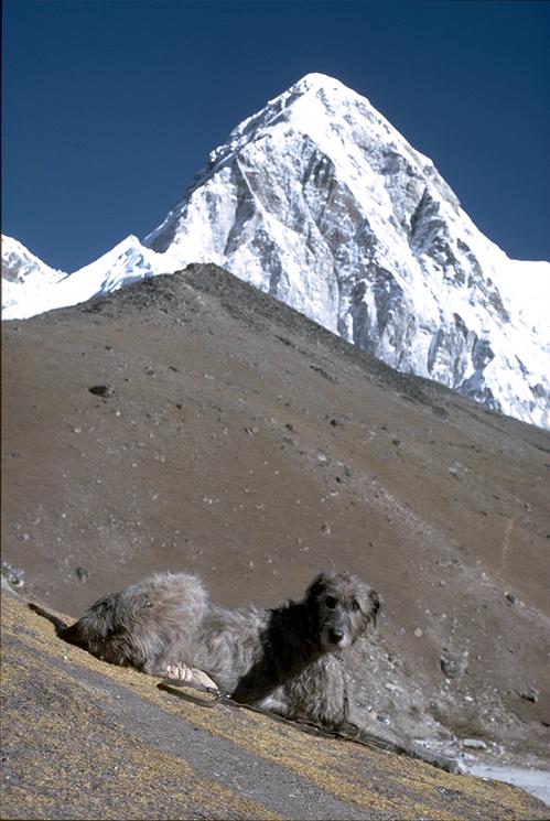 Namche, at Kala Pattar