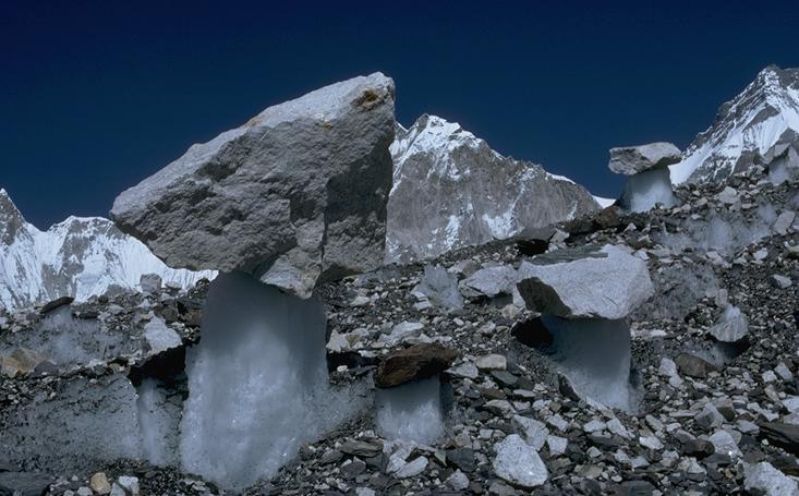 Mushrooms on Khumbu glacier (b)